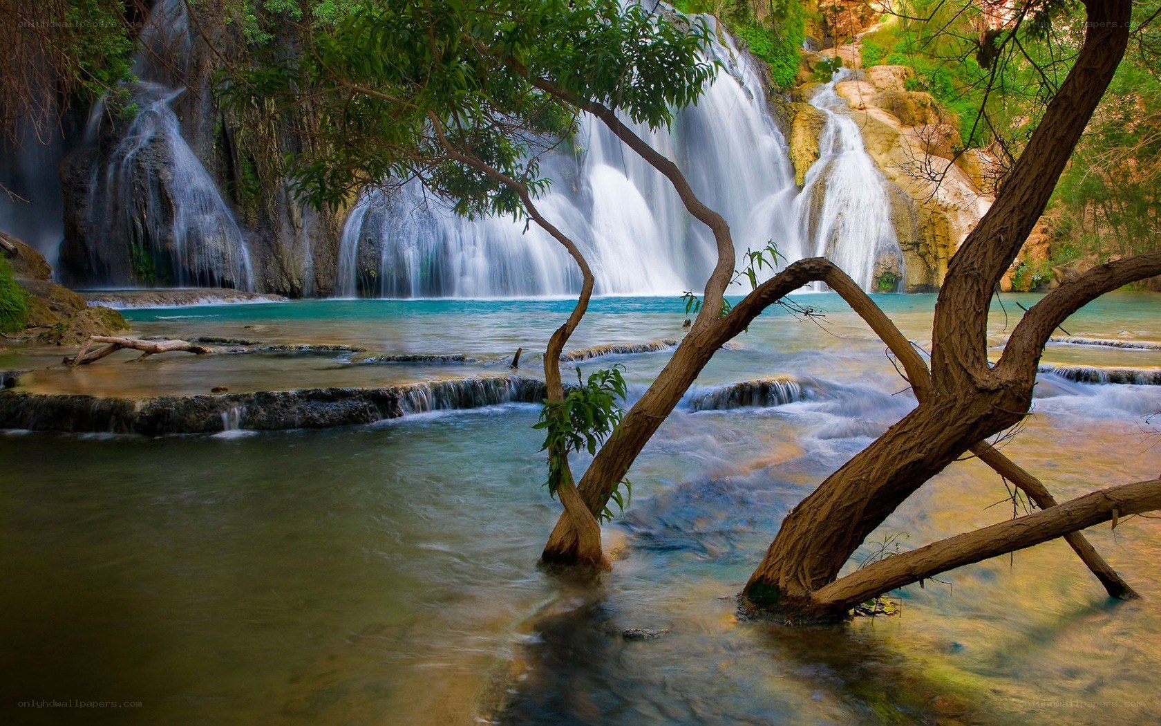 Waterfall in lush forest