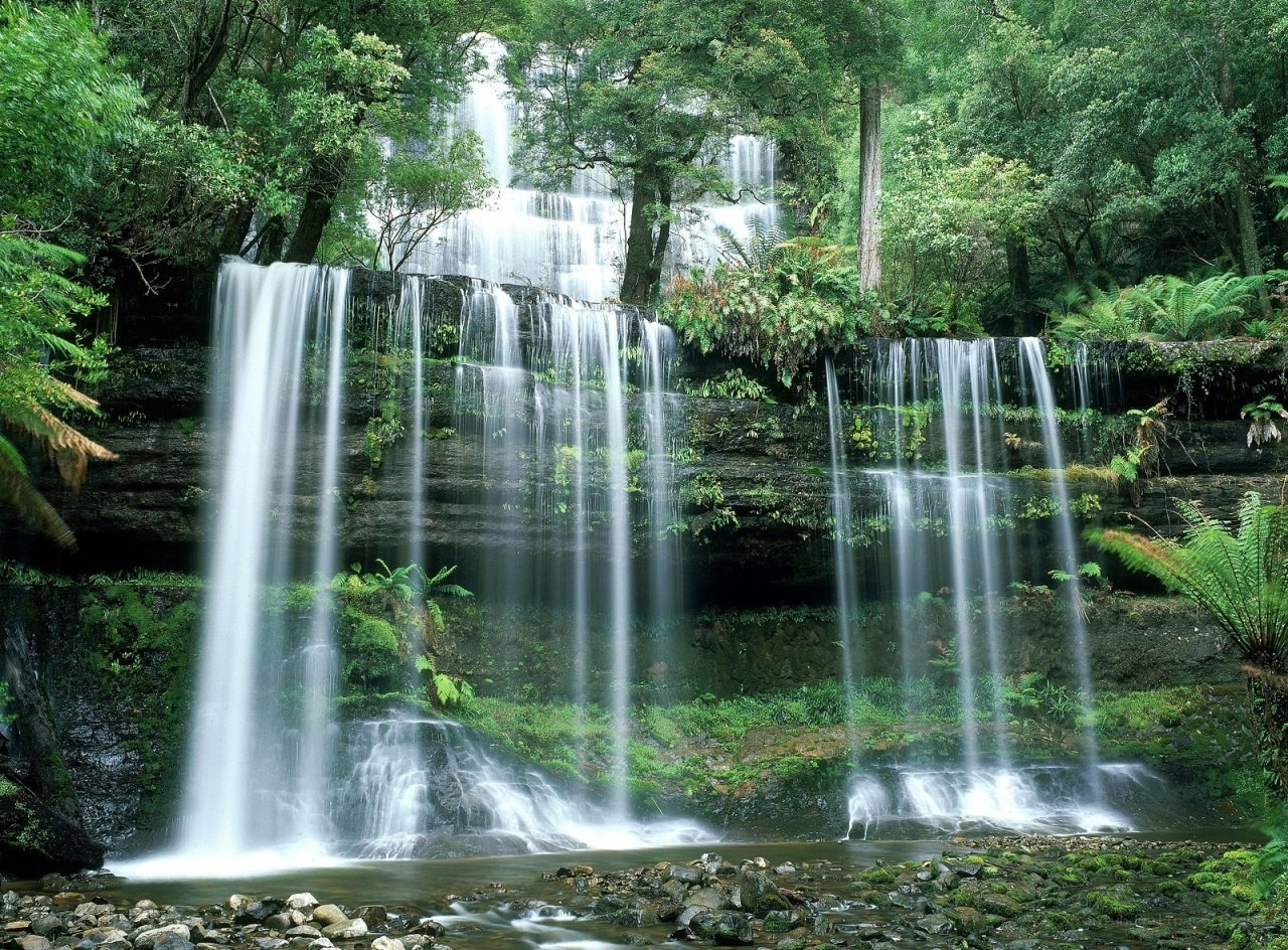 Waterfall in lush forest