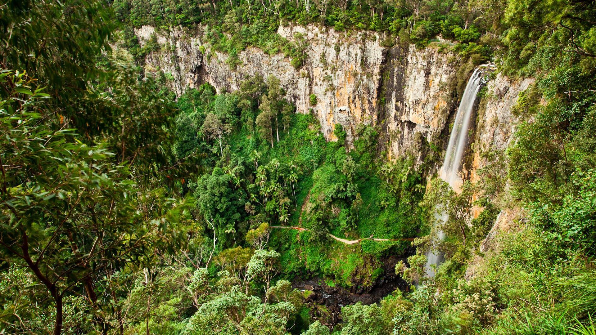 Waterfall in lush forest