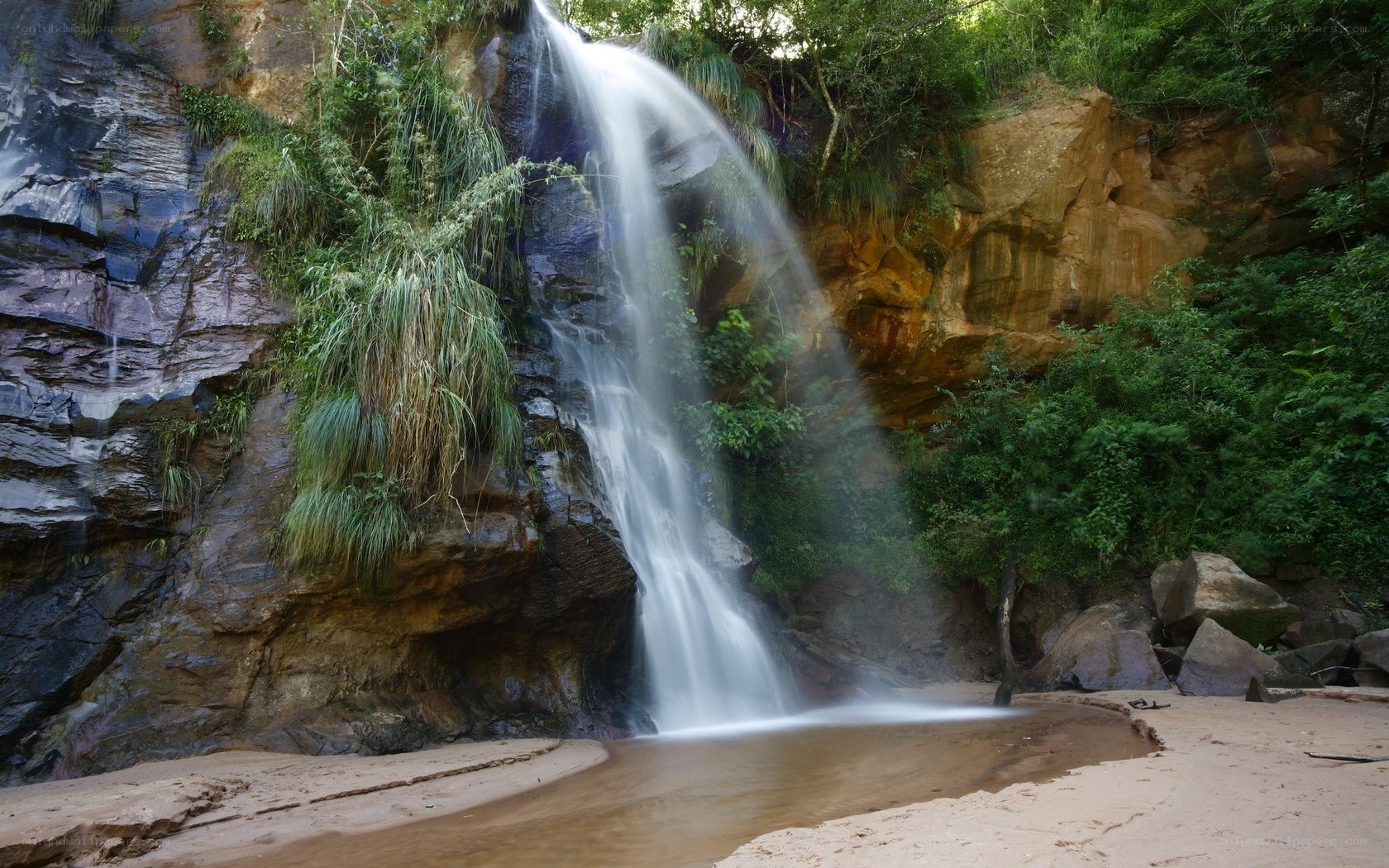 Waterfall in lush forest