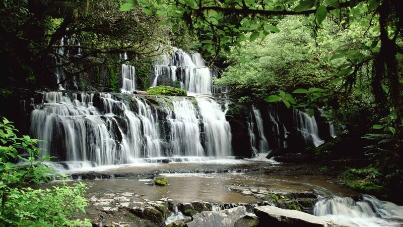 Waterfall in lush forest