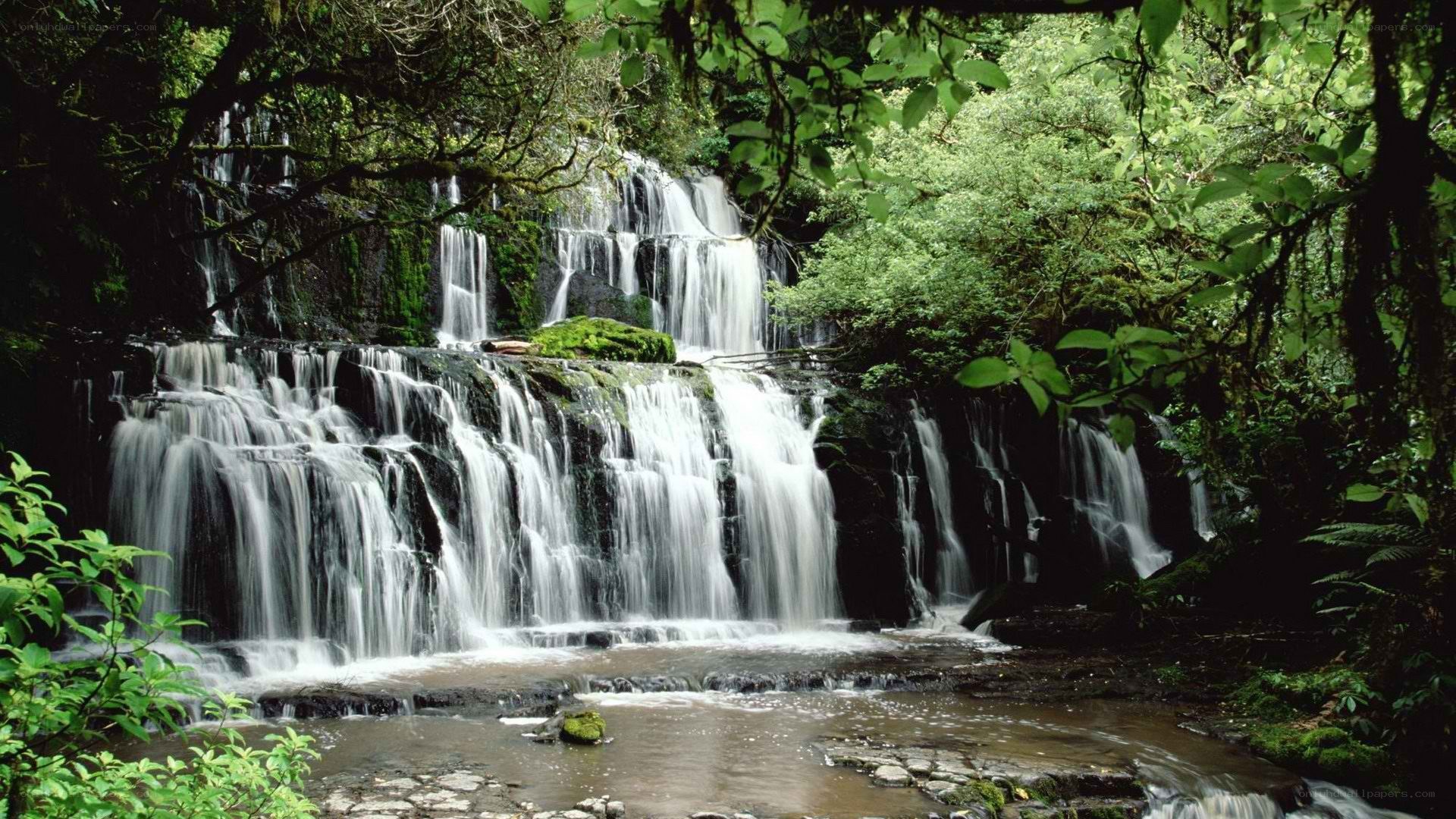 Waterfall in lush forest