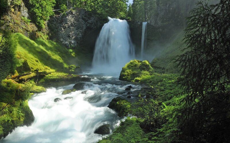 Waterfall in lush forest