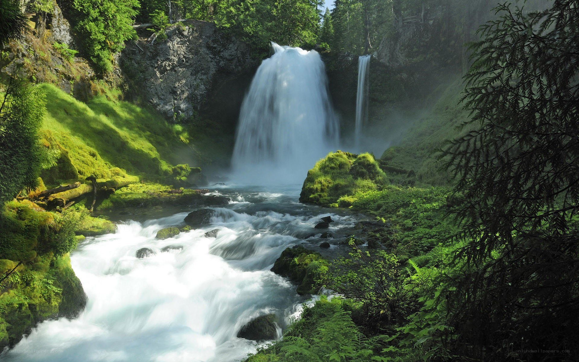 Waterfall in lush forest