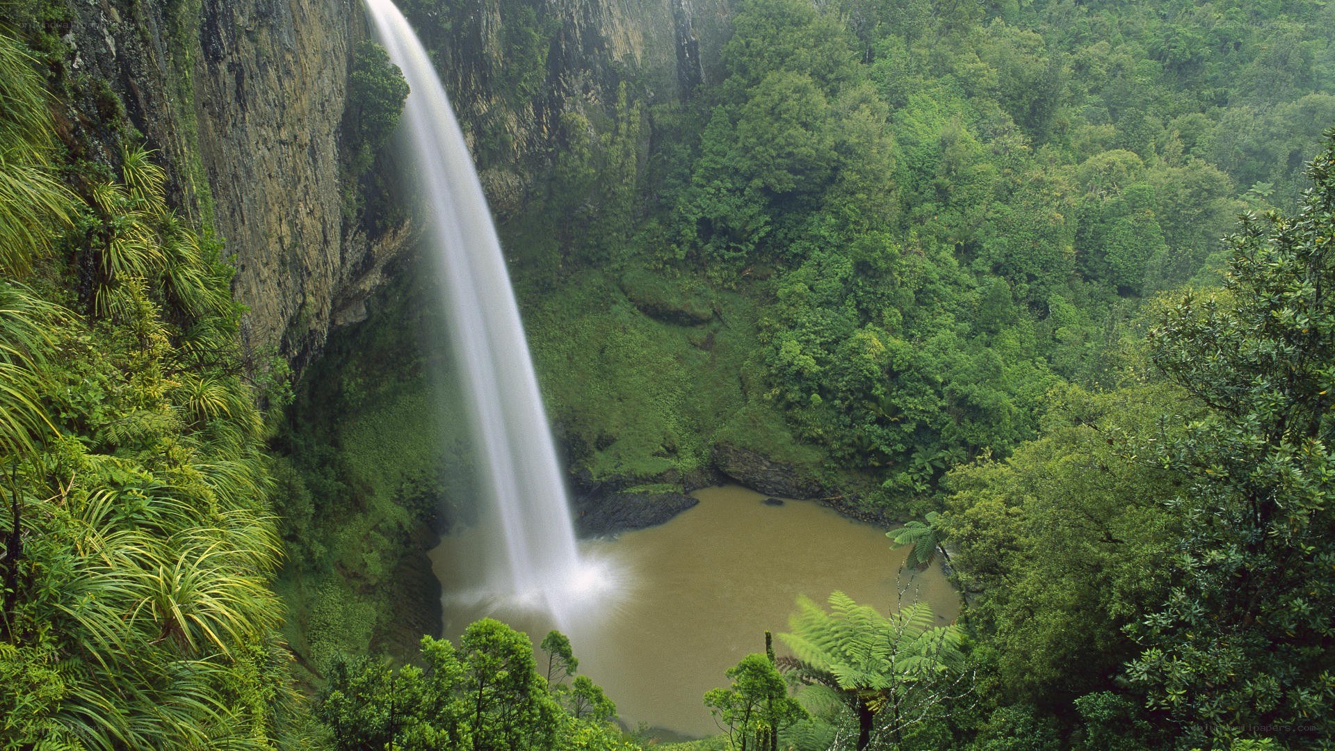 Waterfall in lush forest