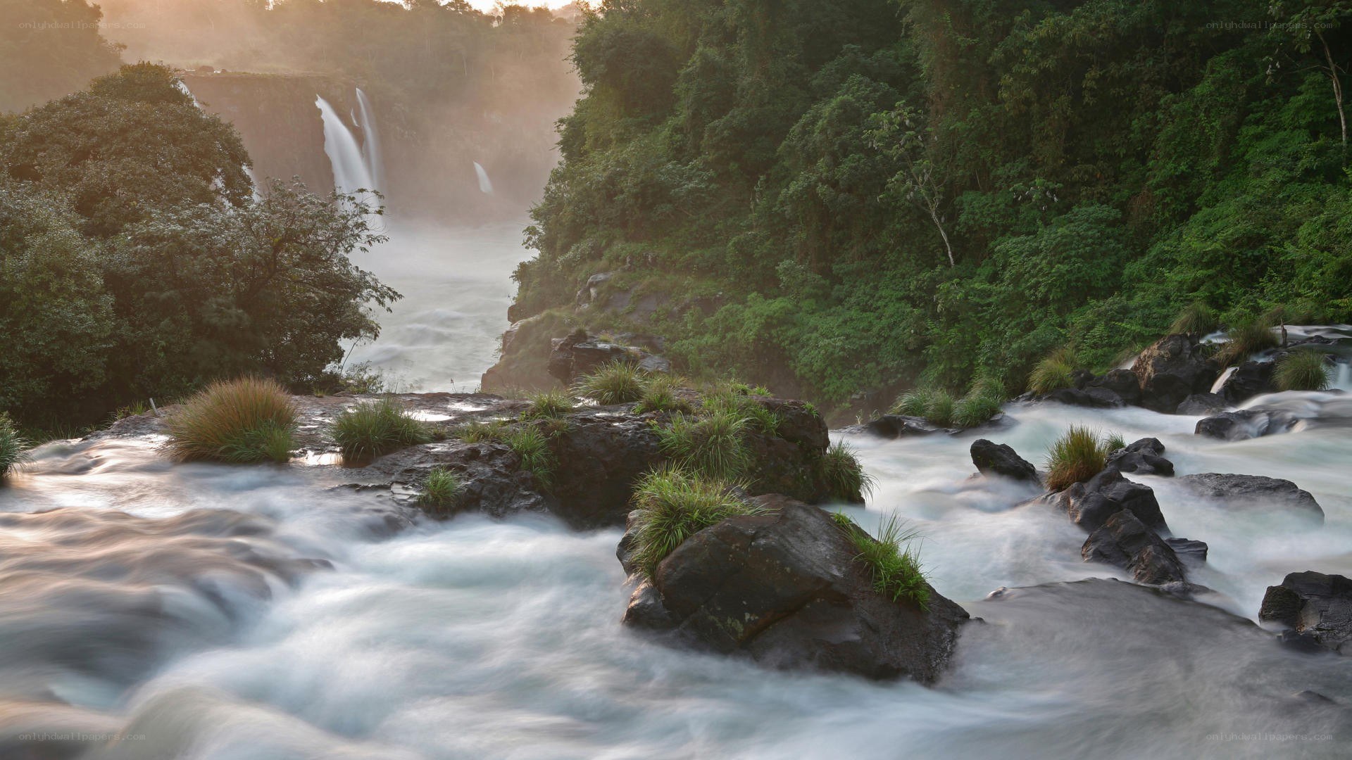 Waterfall in lush forest