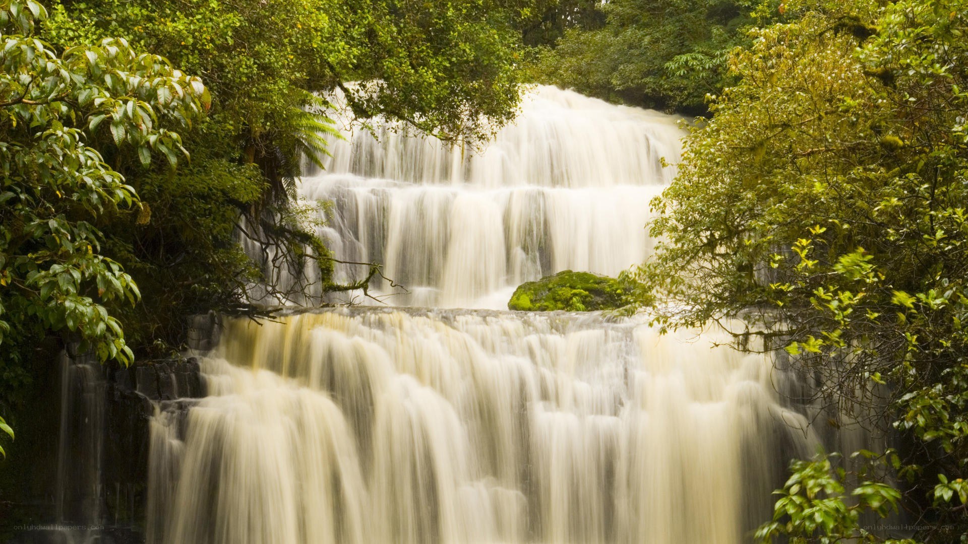 Waterfall in lush forest