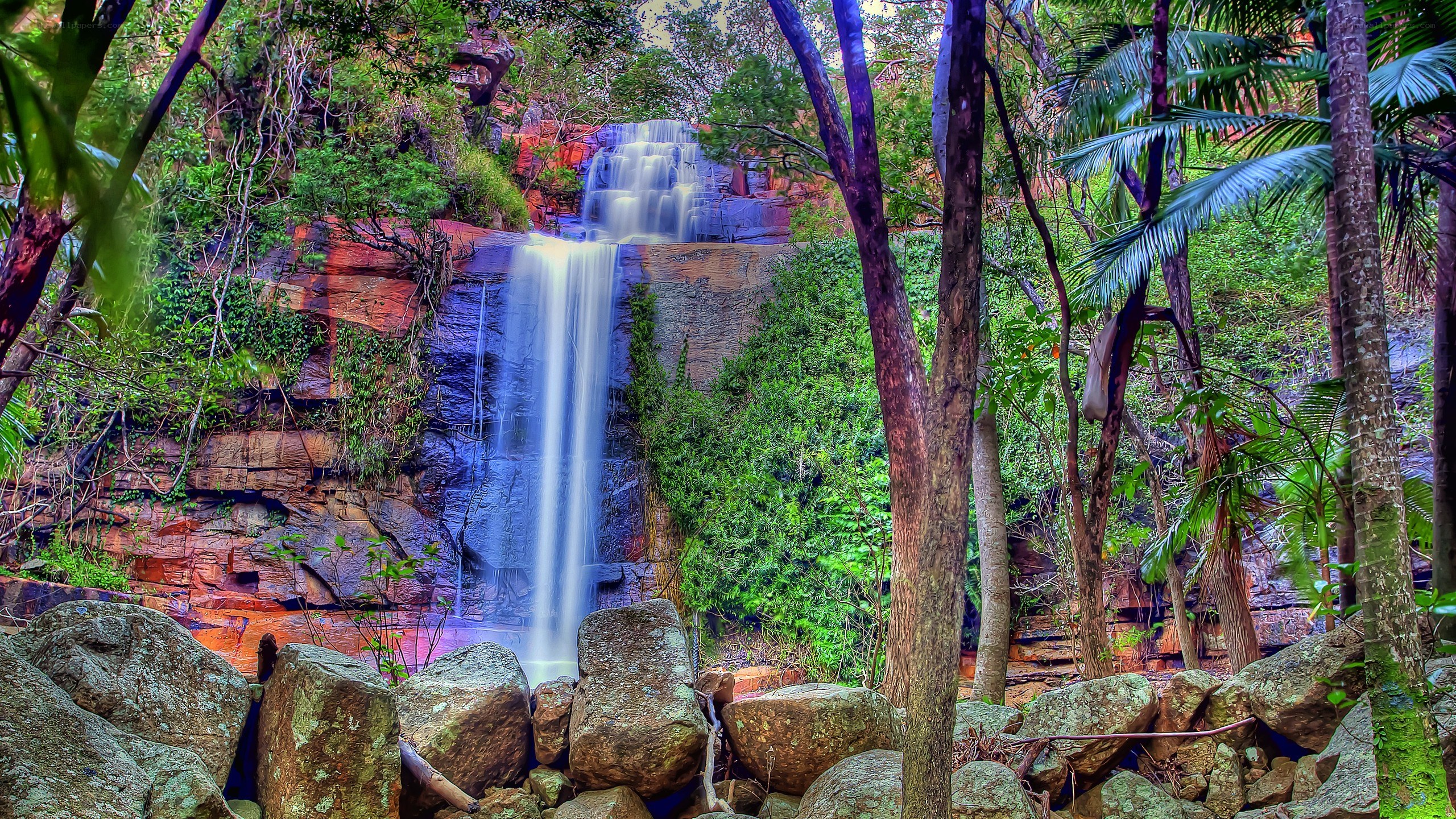 Waterfall in lush forest