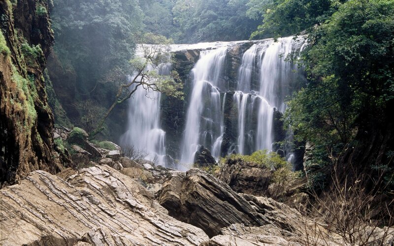 Waterfall in lush forest