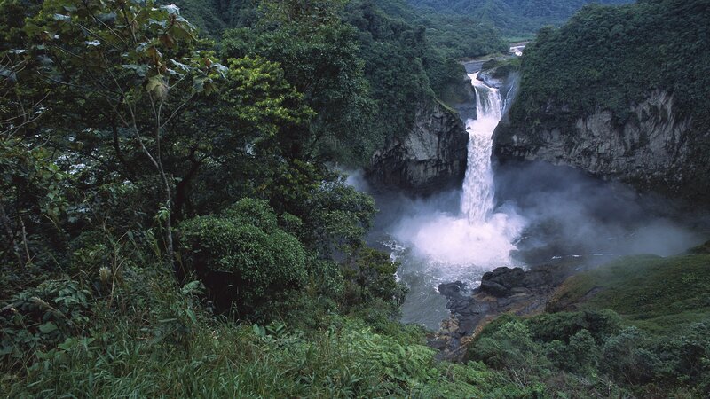 Waterfall in lush forest