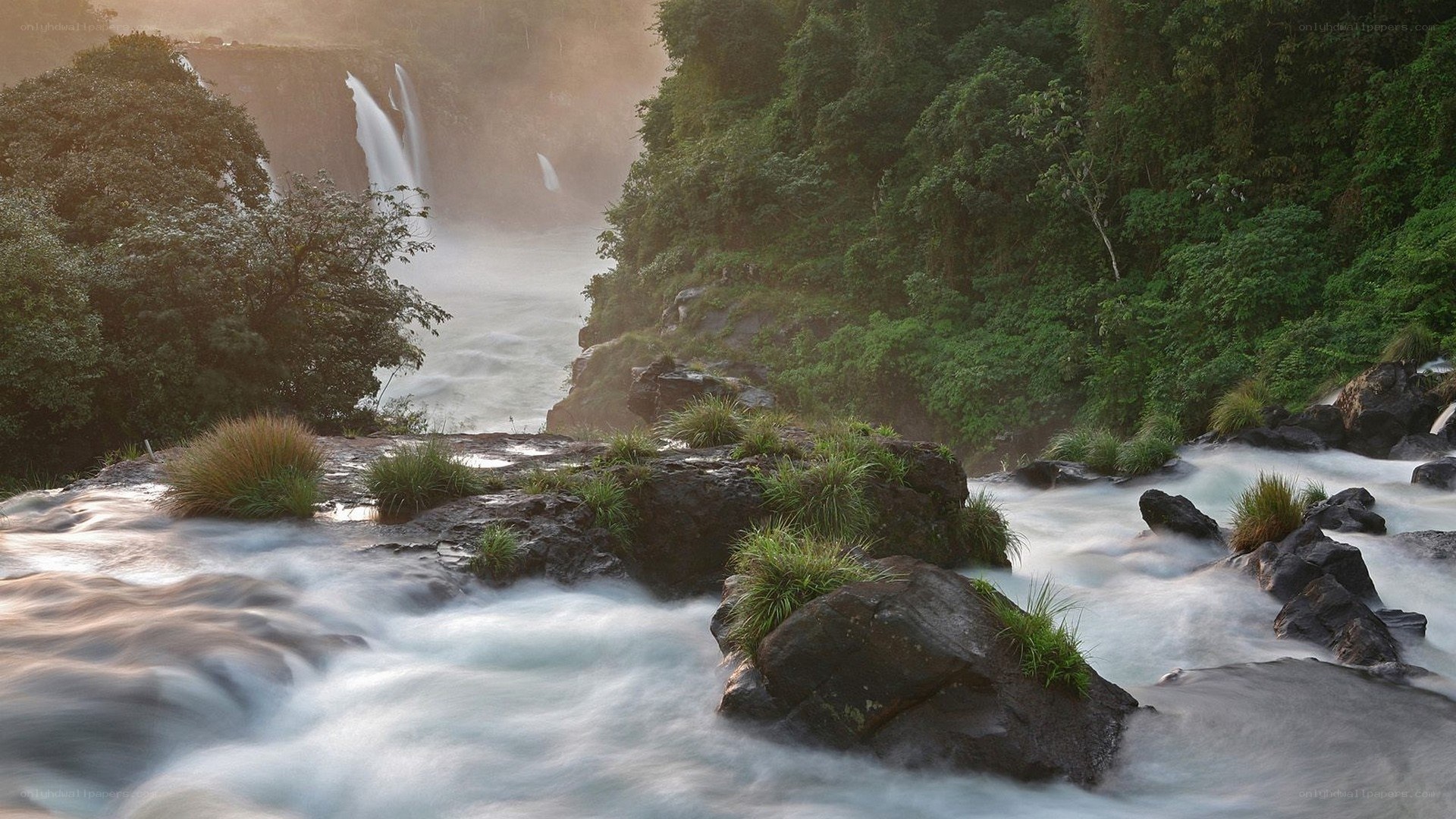 Waterfall in lush forest