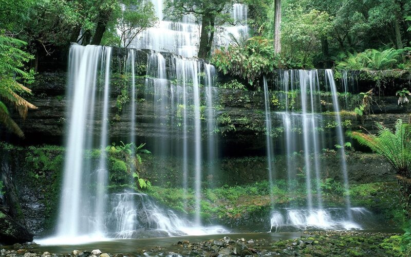 Waterfall in lush forest