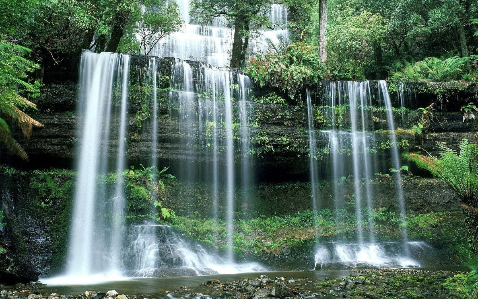 Waterfall in lush forest