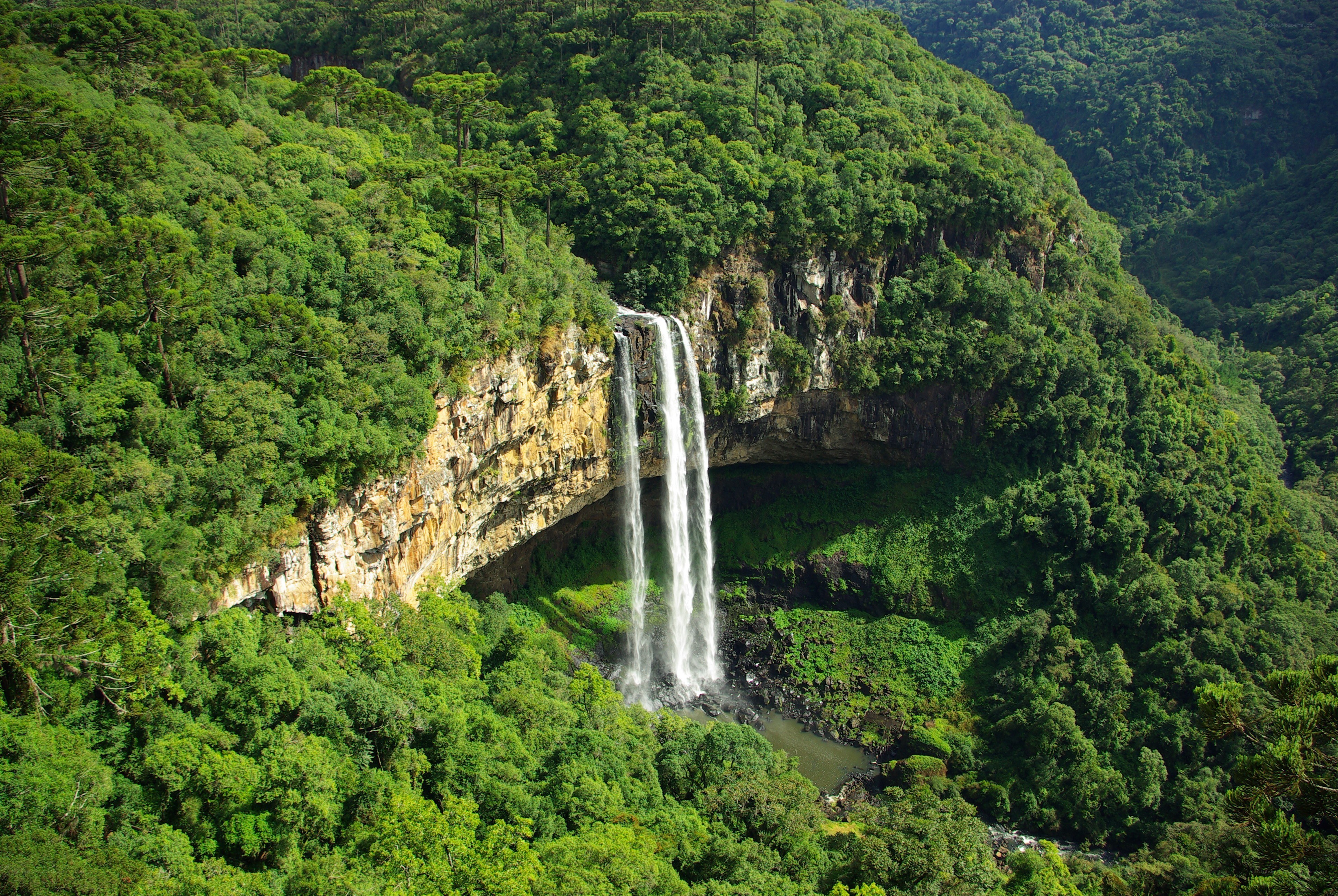 Waterfall in lush forest