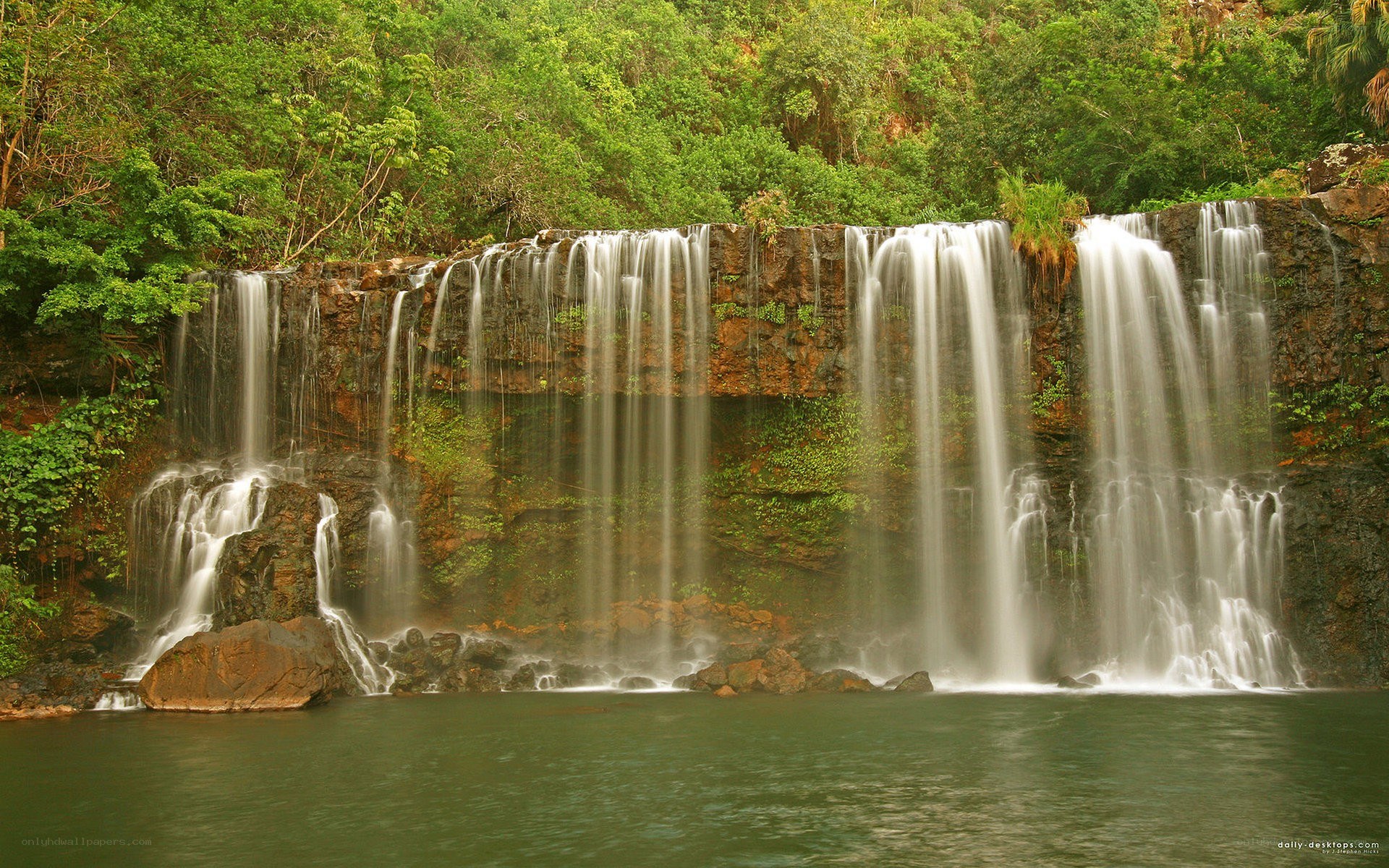 Waterfall in lush forest