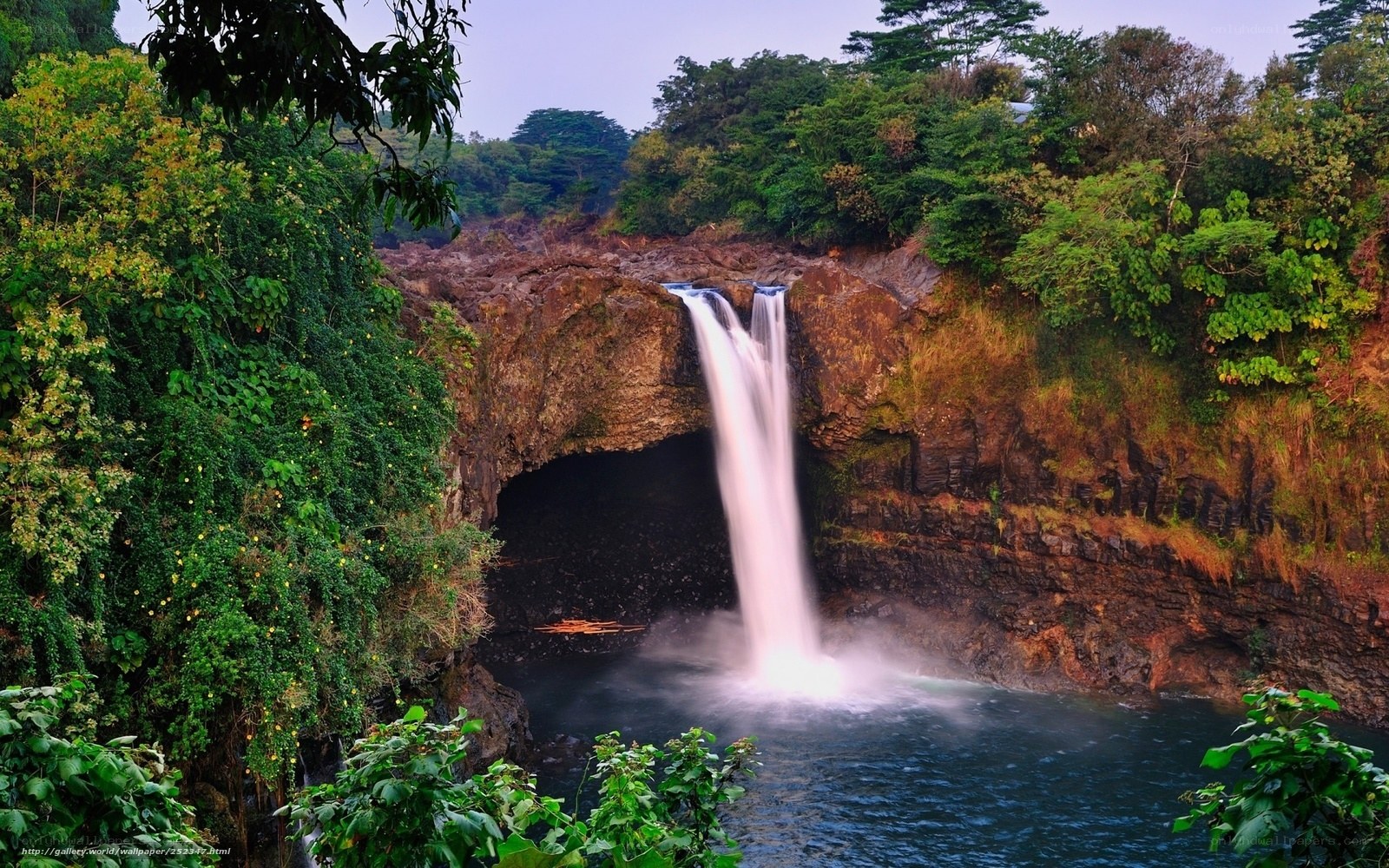 Waterfall in lush forest