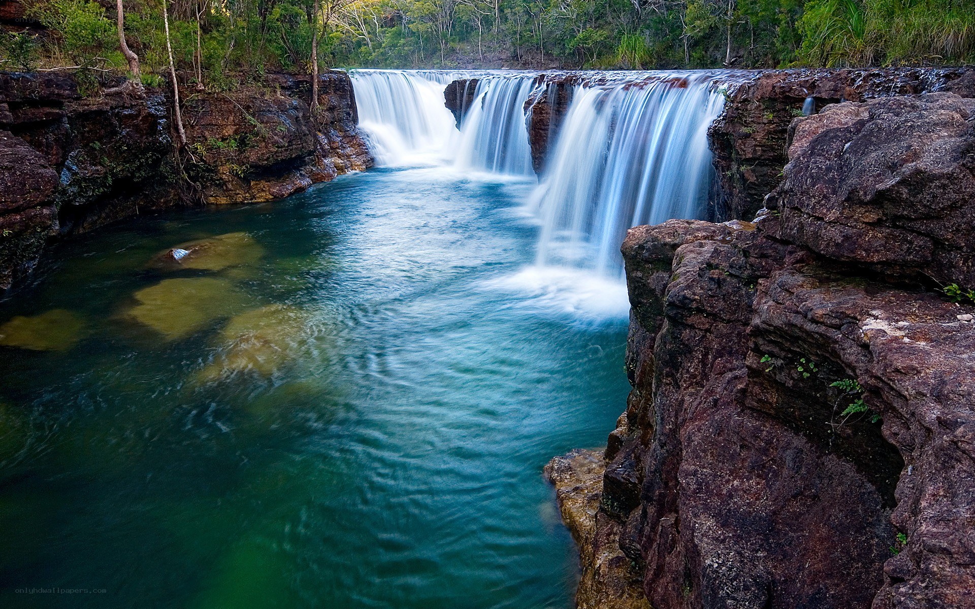 Waterfall in lush forest