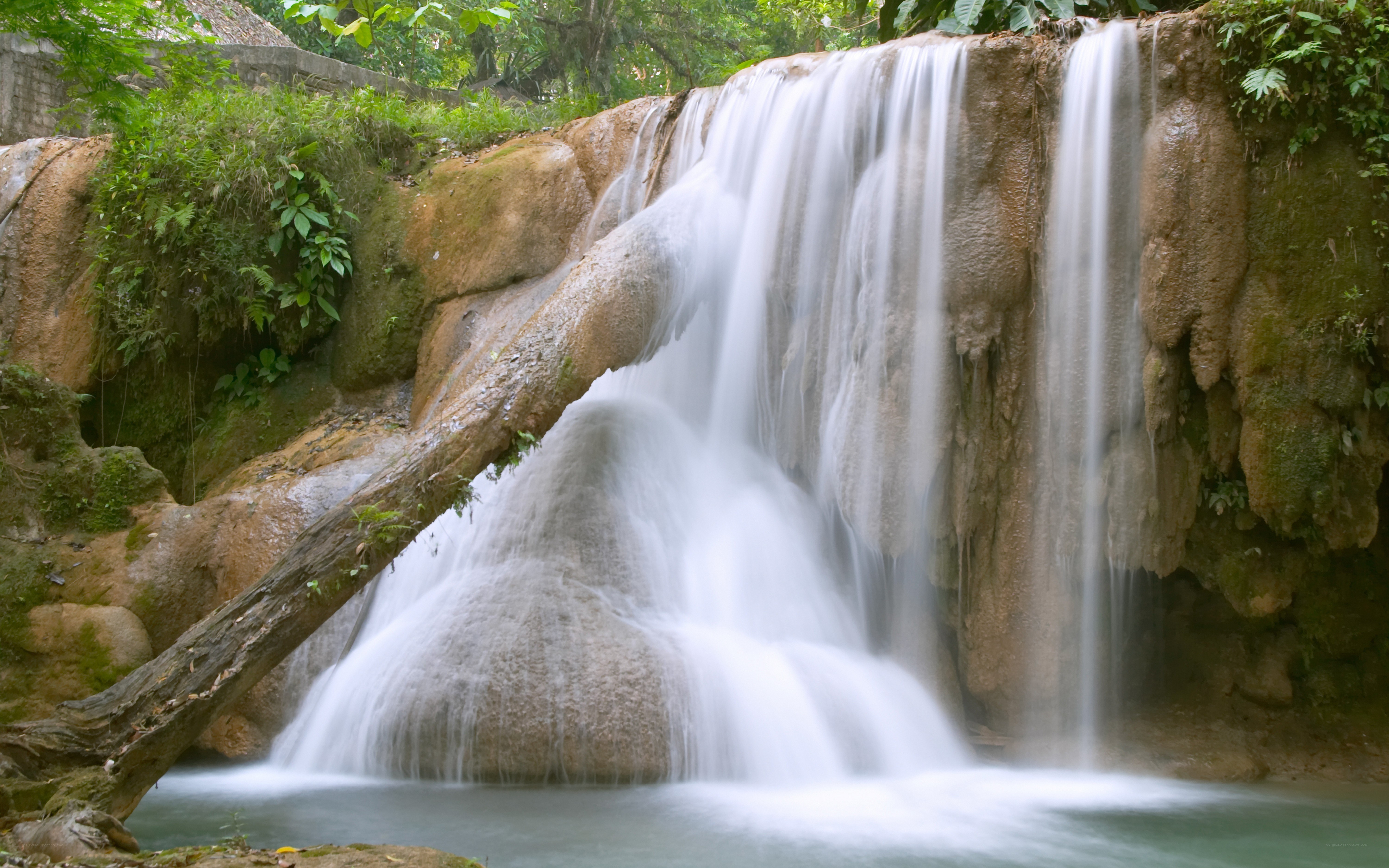 Waterfall in lush forest
