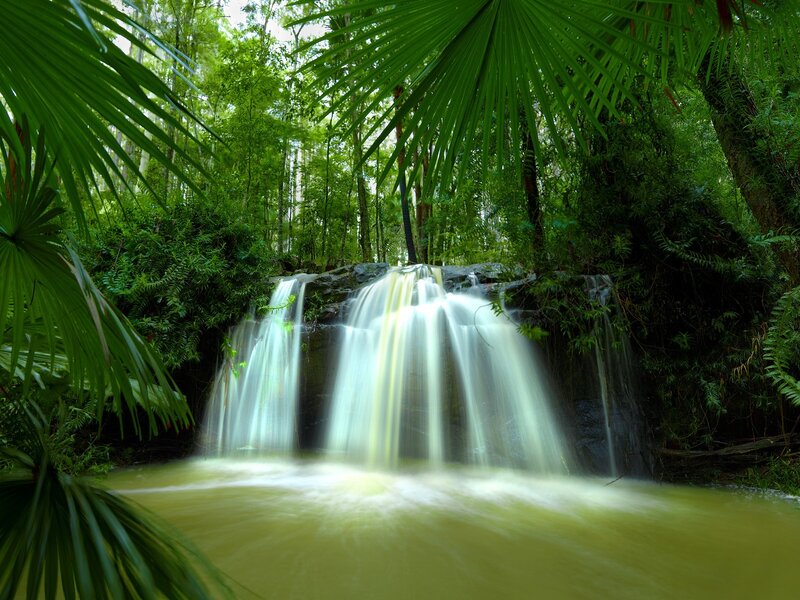 Waterfall in lush forest