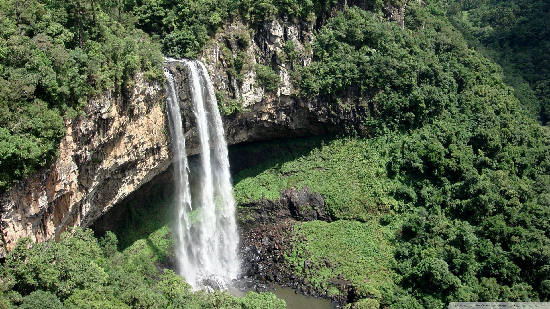 Waterfall in lush forest