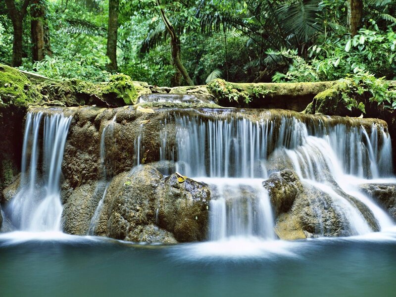 Waterfall in lush forest