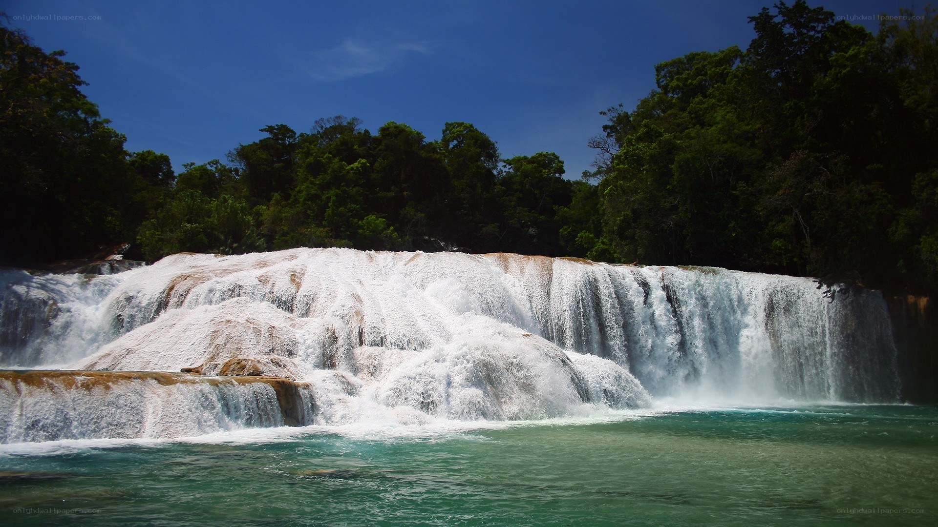 Waterfall in lush forest