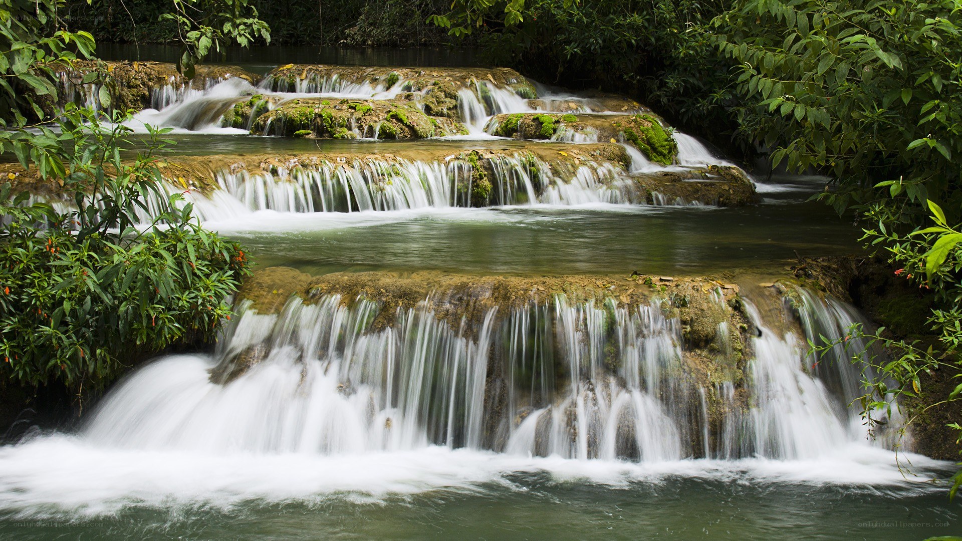 Waterfall in lush forest