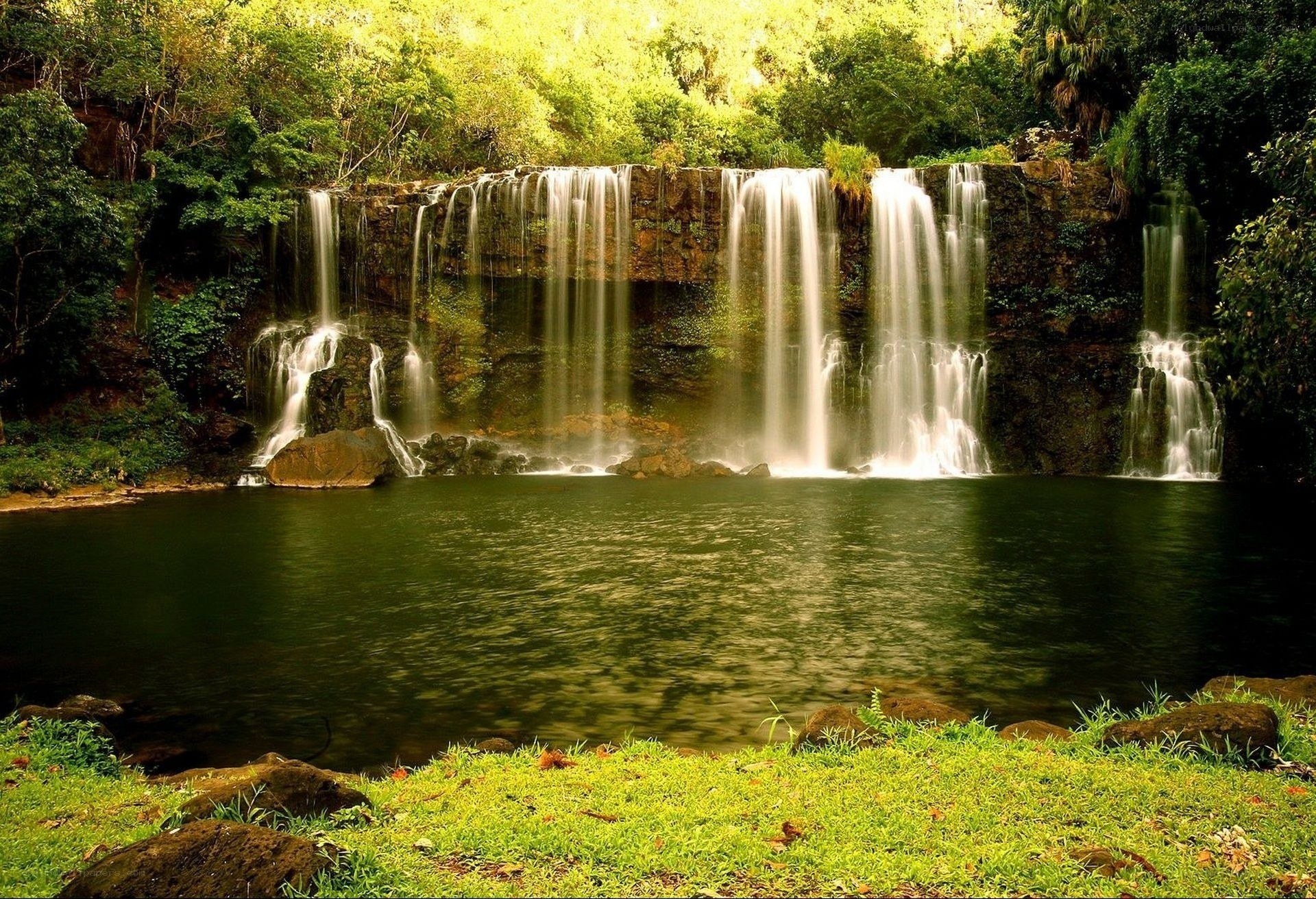 Waterfall in lush forest