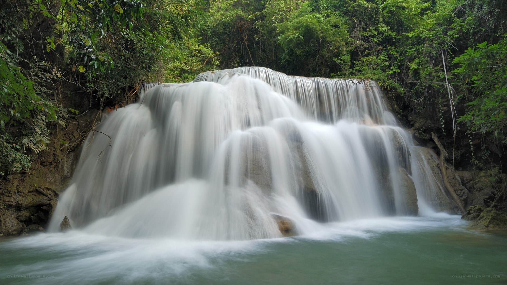 Waterfall in lush forest