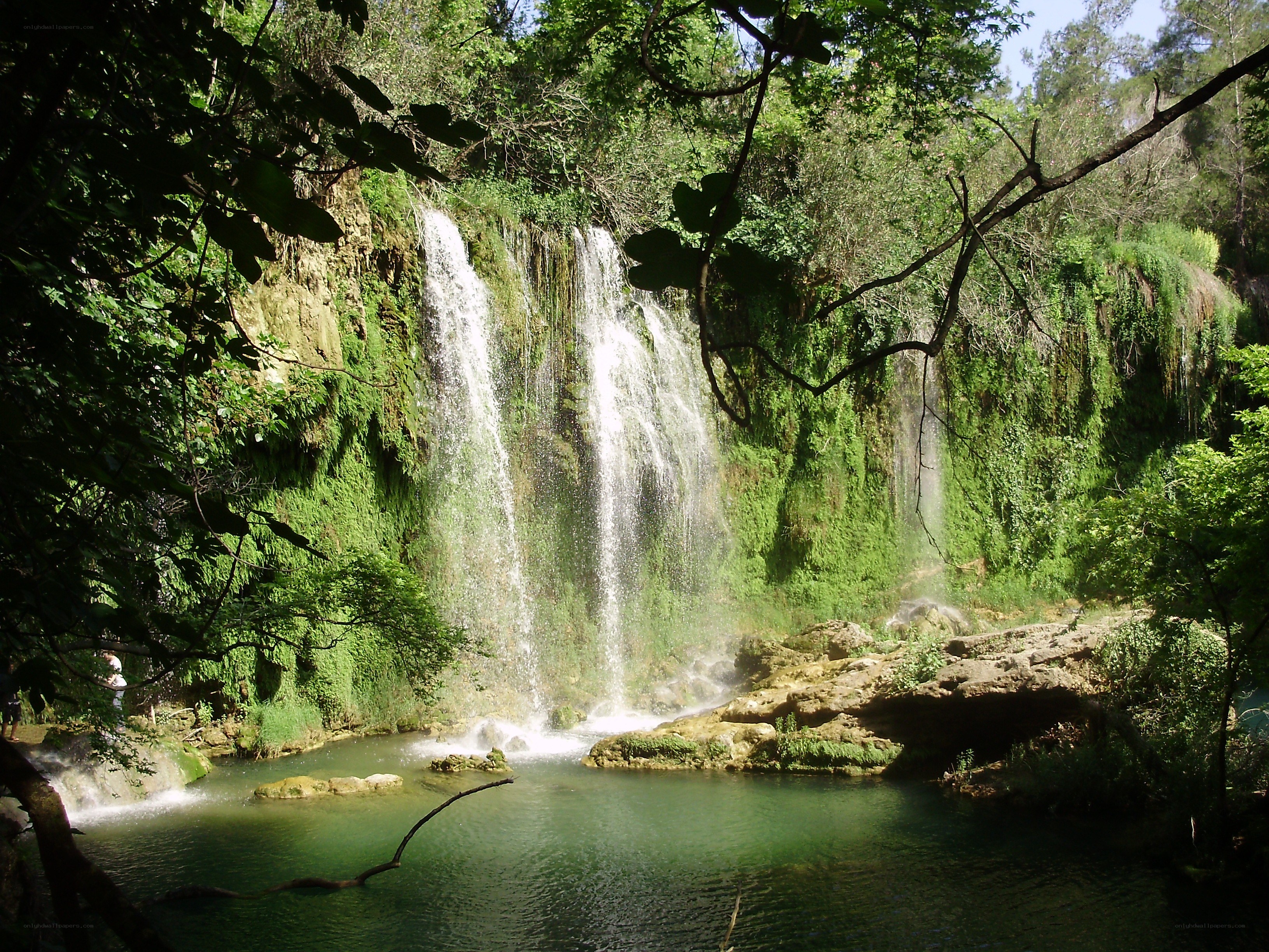 Waterfall in lush forest