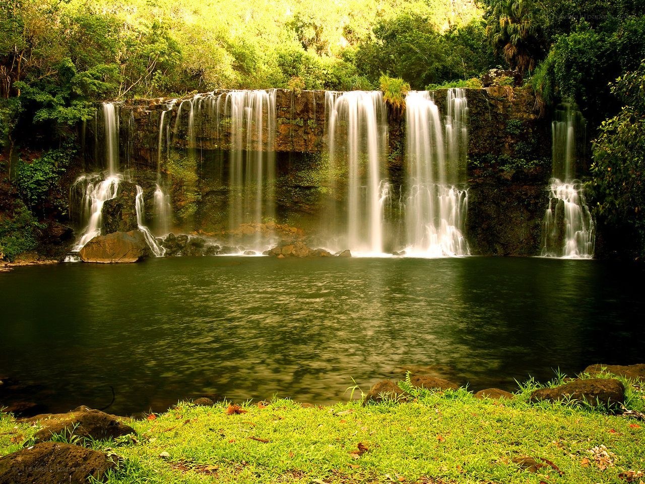 Waterfall in lush forest