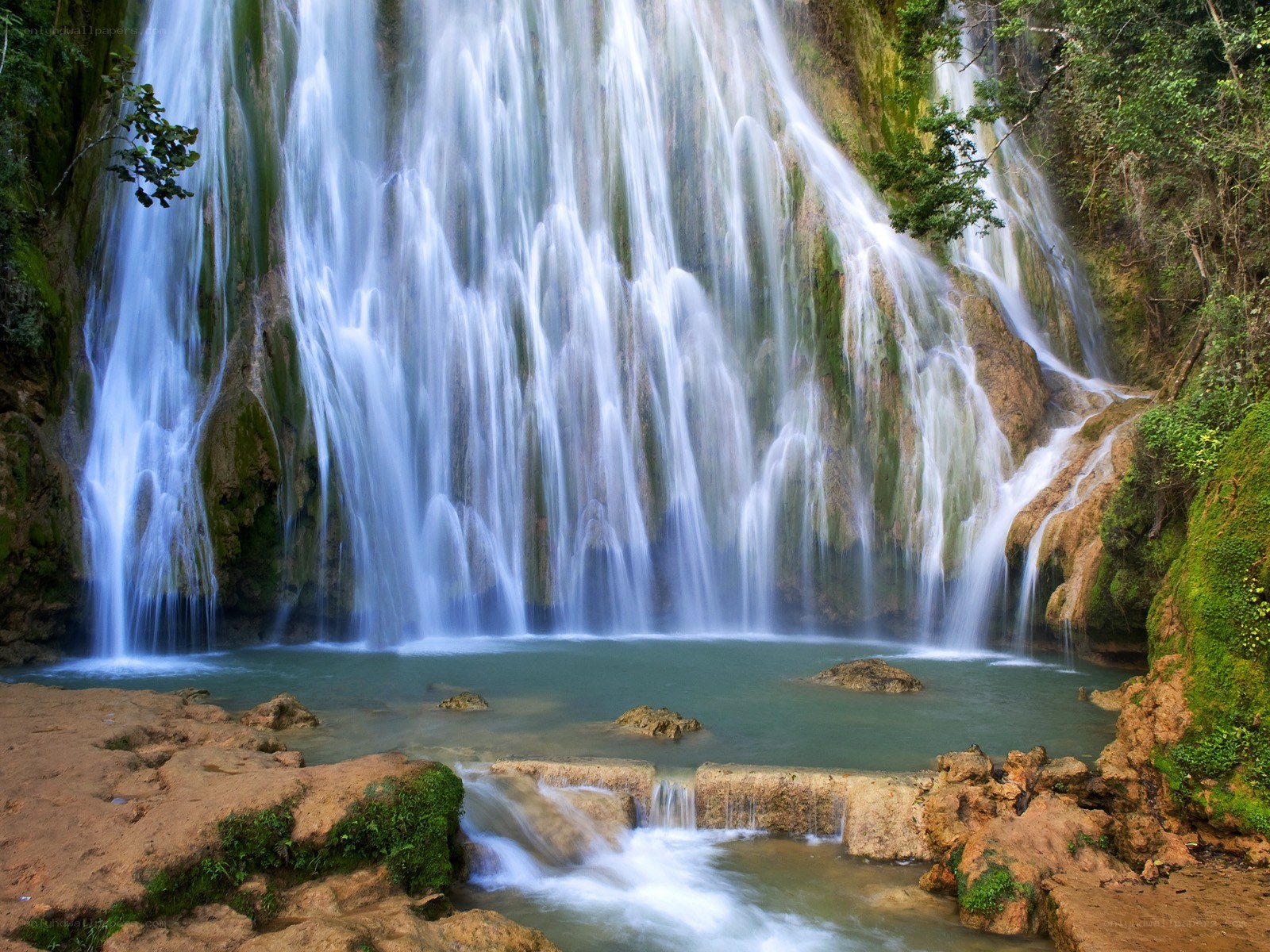 Waterfall in lush forest