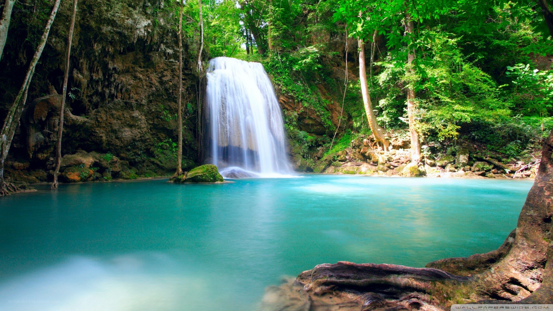Waterfall in lush forest