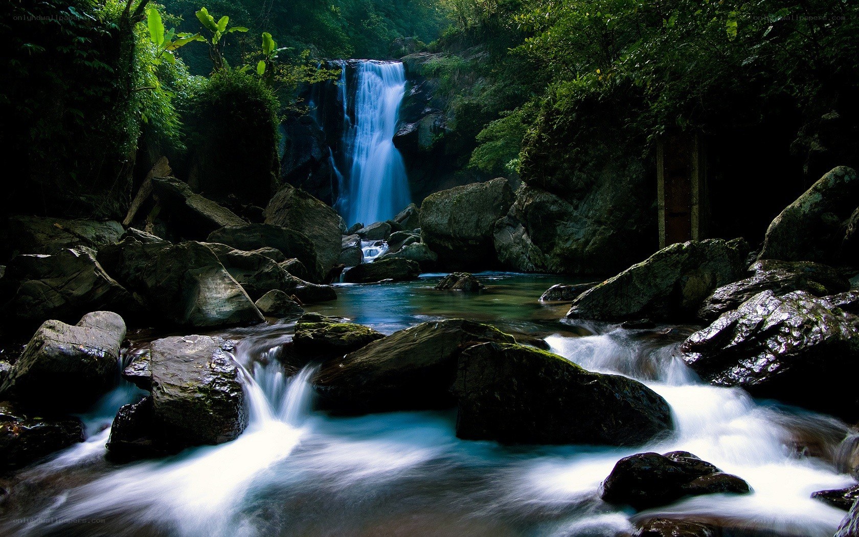 Waterfall in lush forest