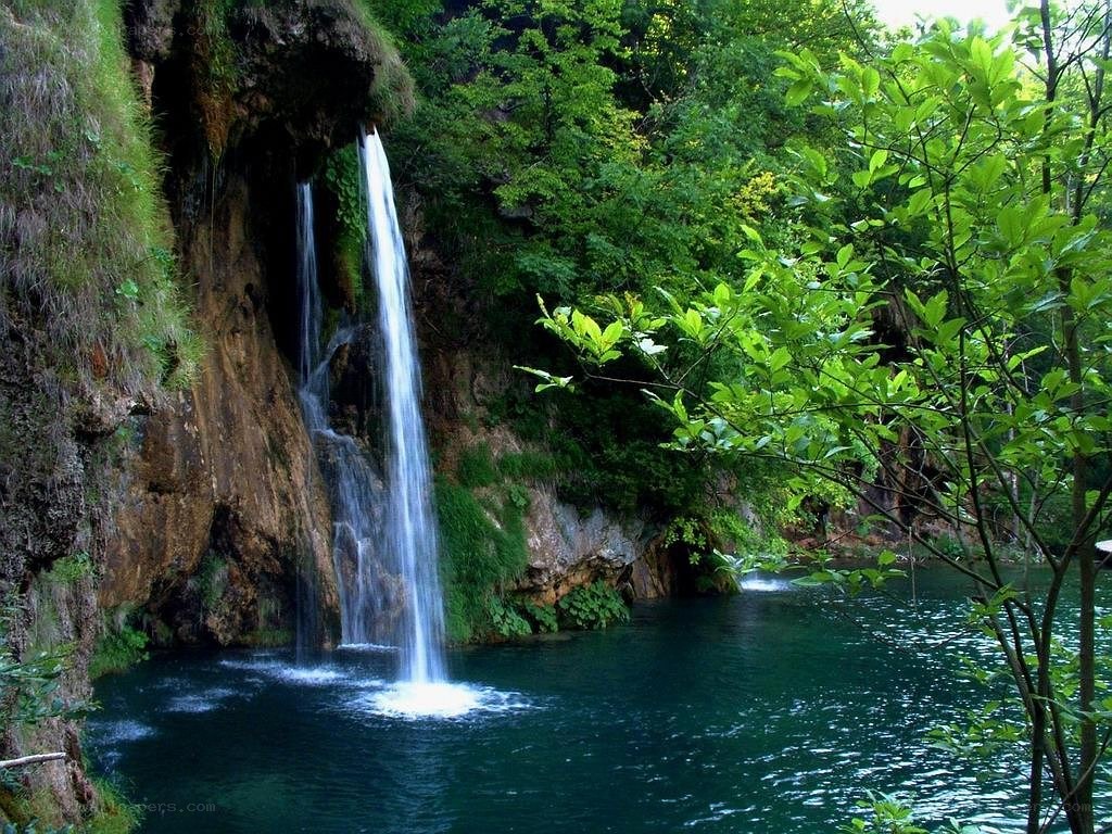 Waterfall in lush forest
