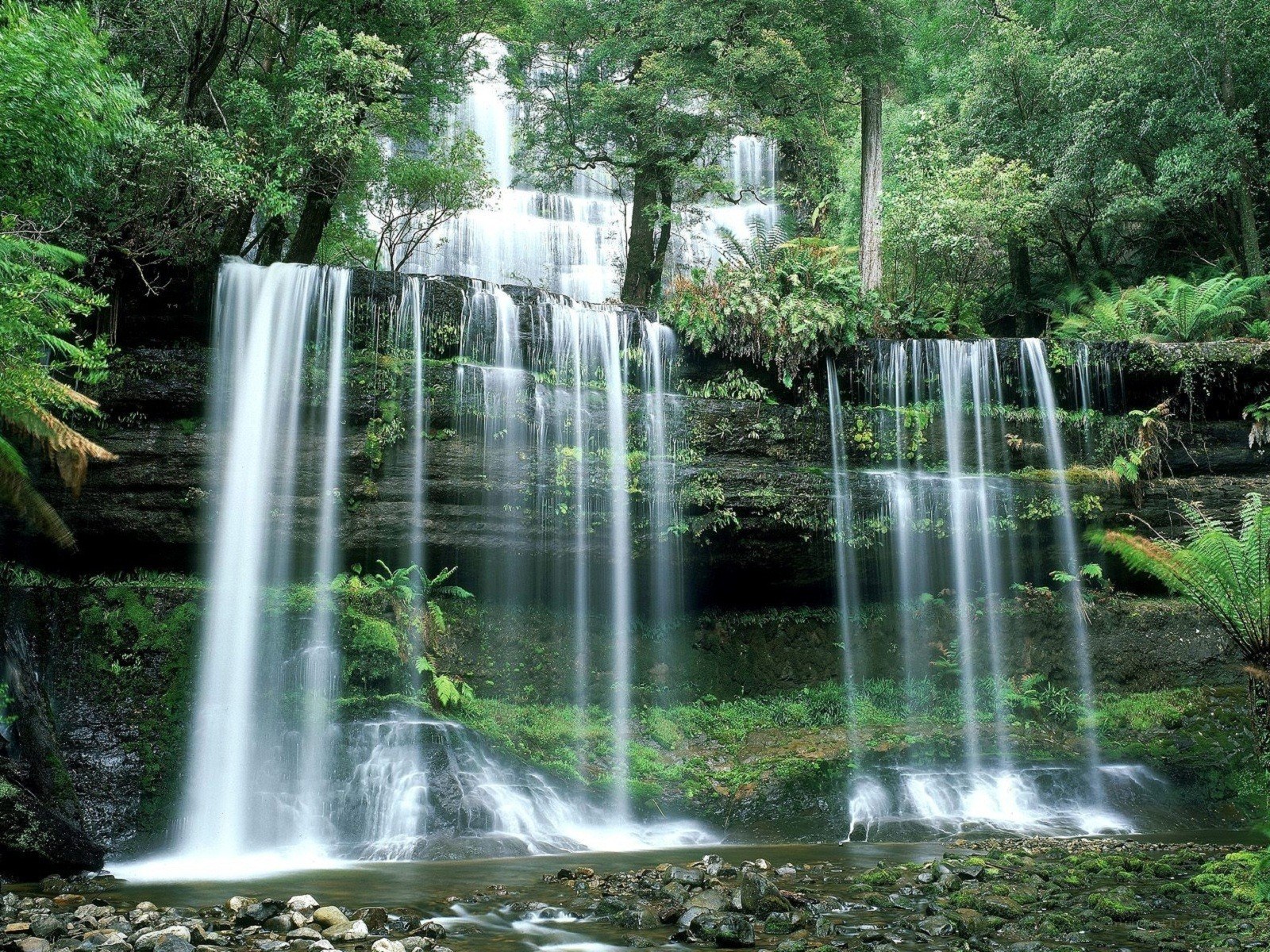 Waterfall in lush forest