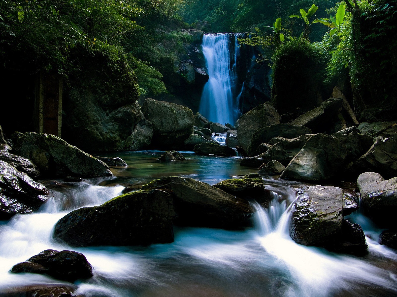 Waterfall in lush forest