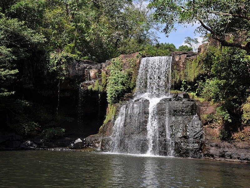 Waterfall in lush forest