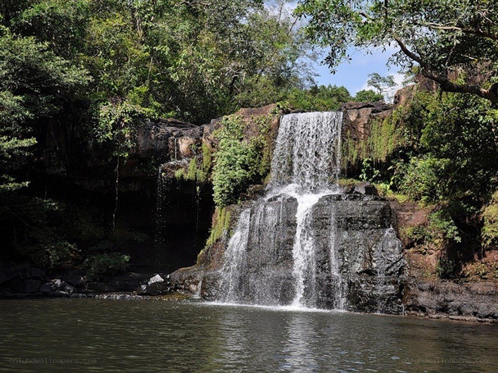 Waterfall in lush forest