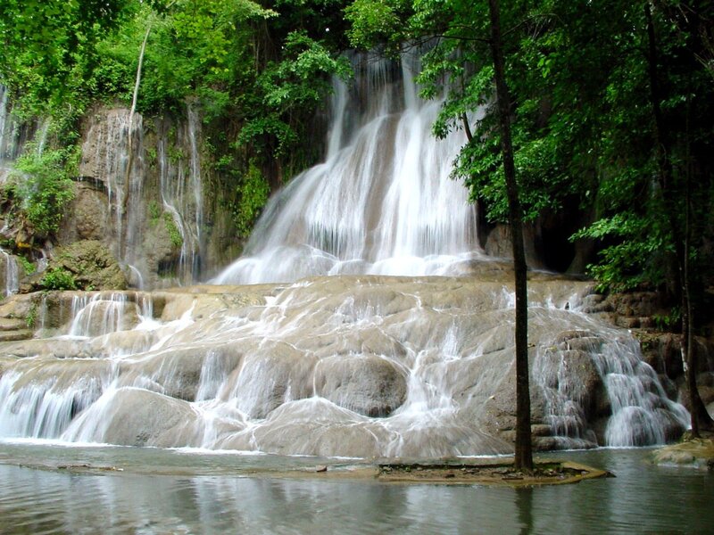 Waterfall in lush forest