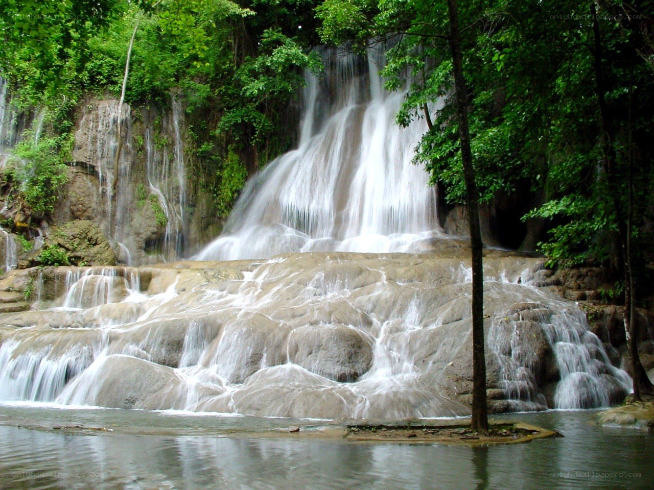 Waterfall in lush forest