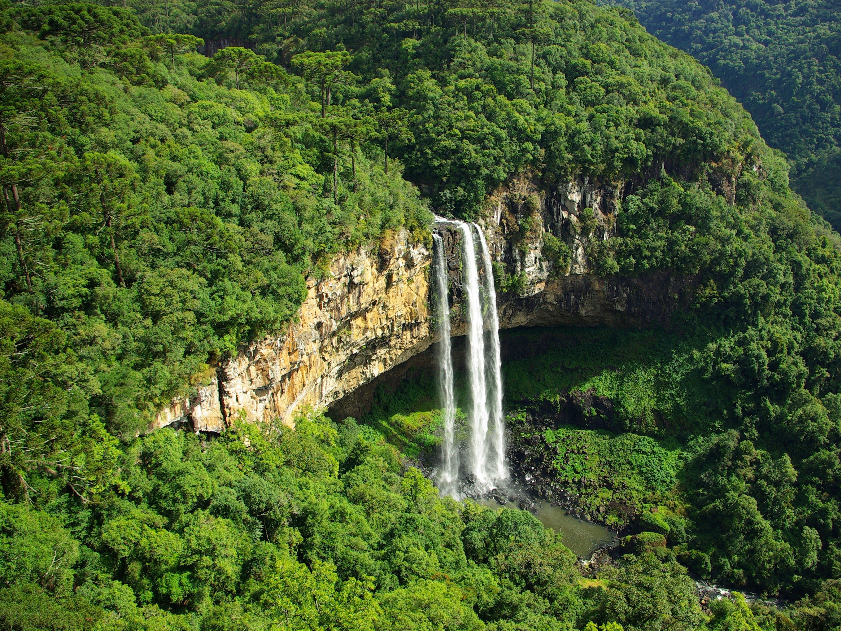Waterfall in lush forest