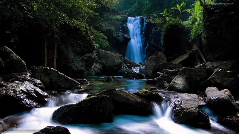Waterfall in lush forest