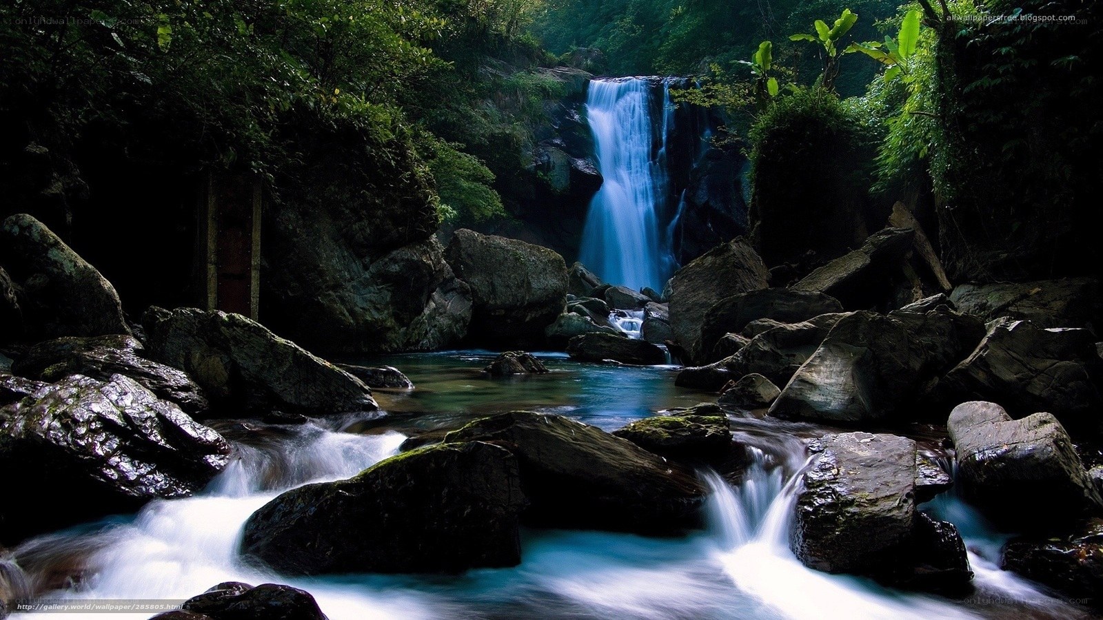 Waterfall in lush forest