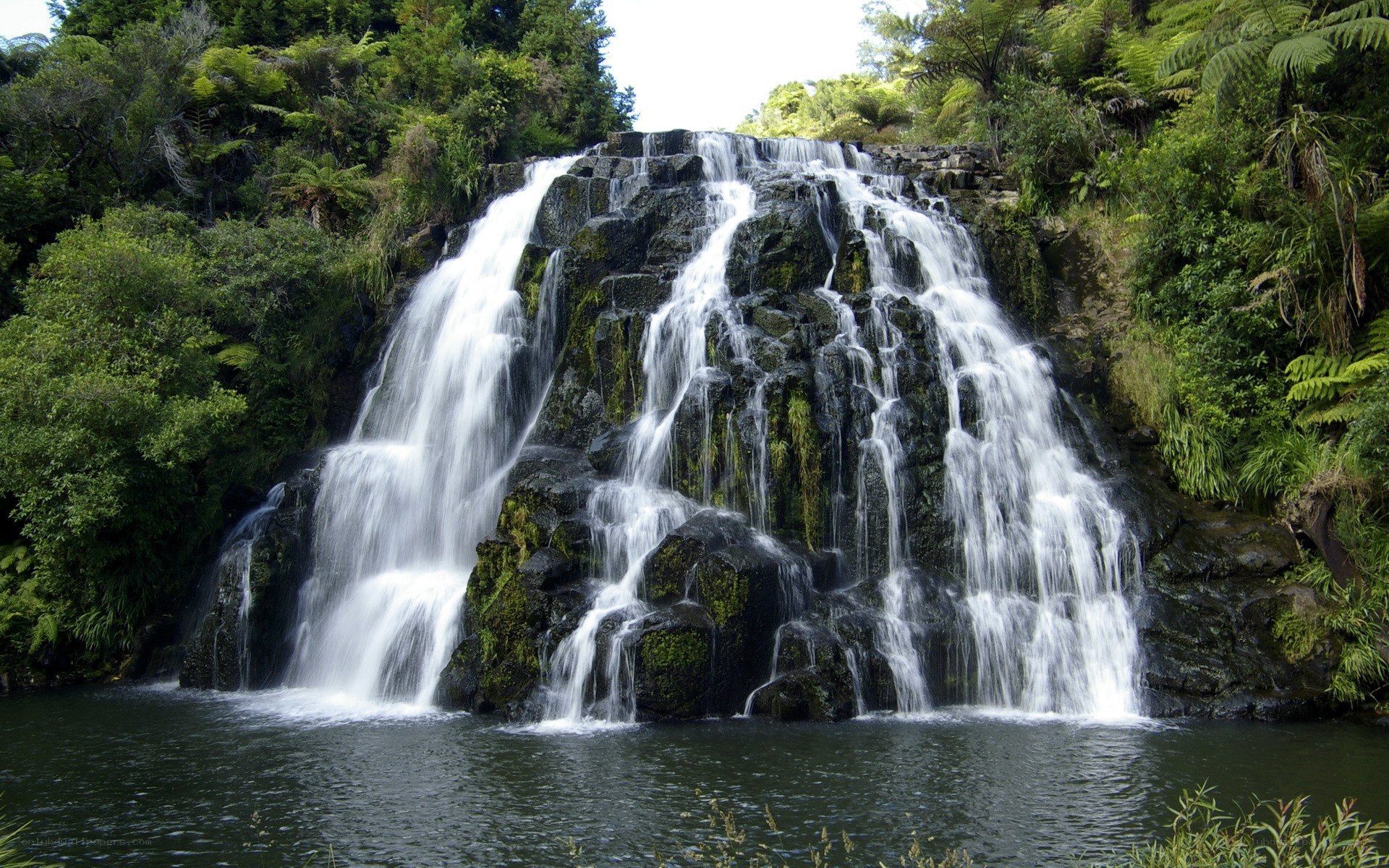 Waterfall in lush forest