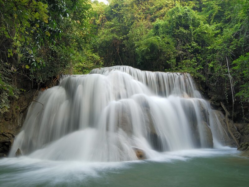 Waterfall in lush forest