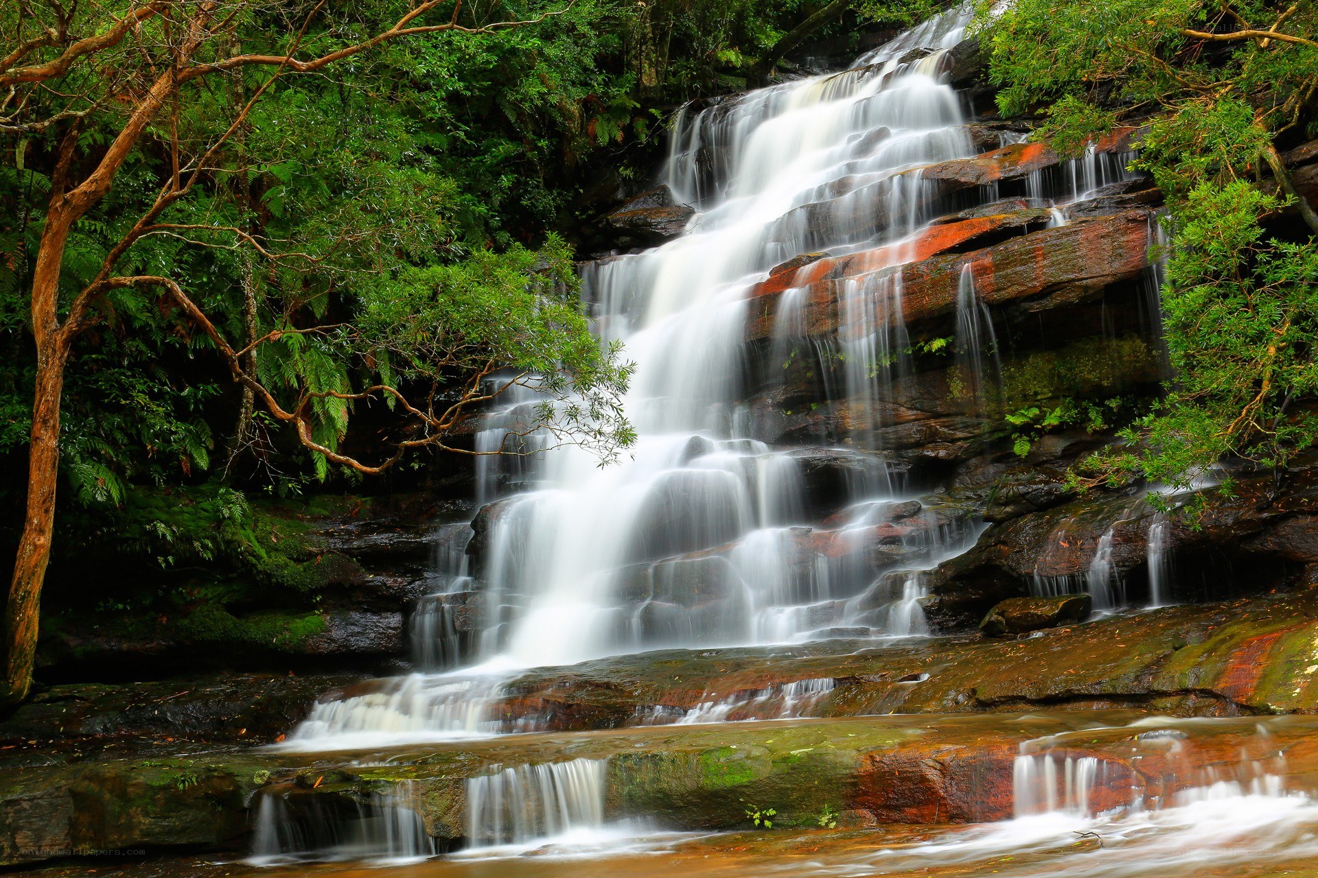 Waterfall in lush forest