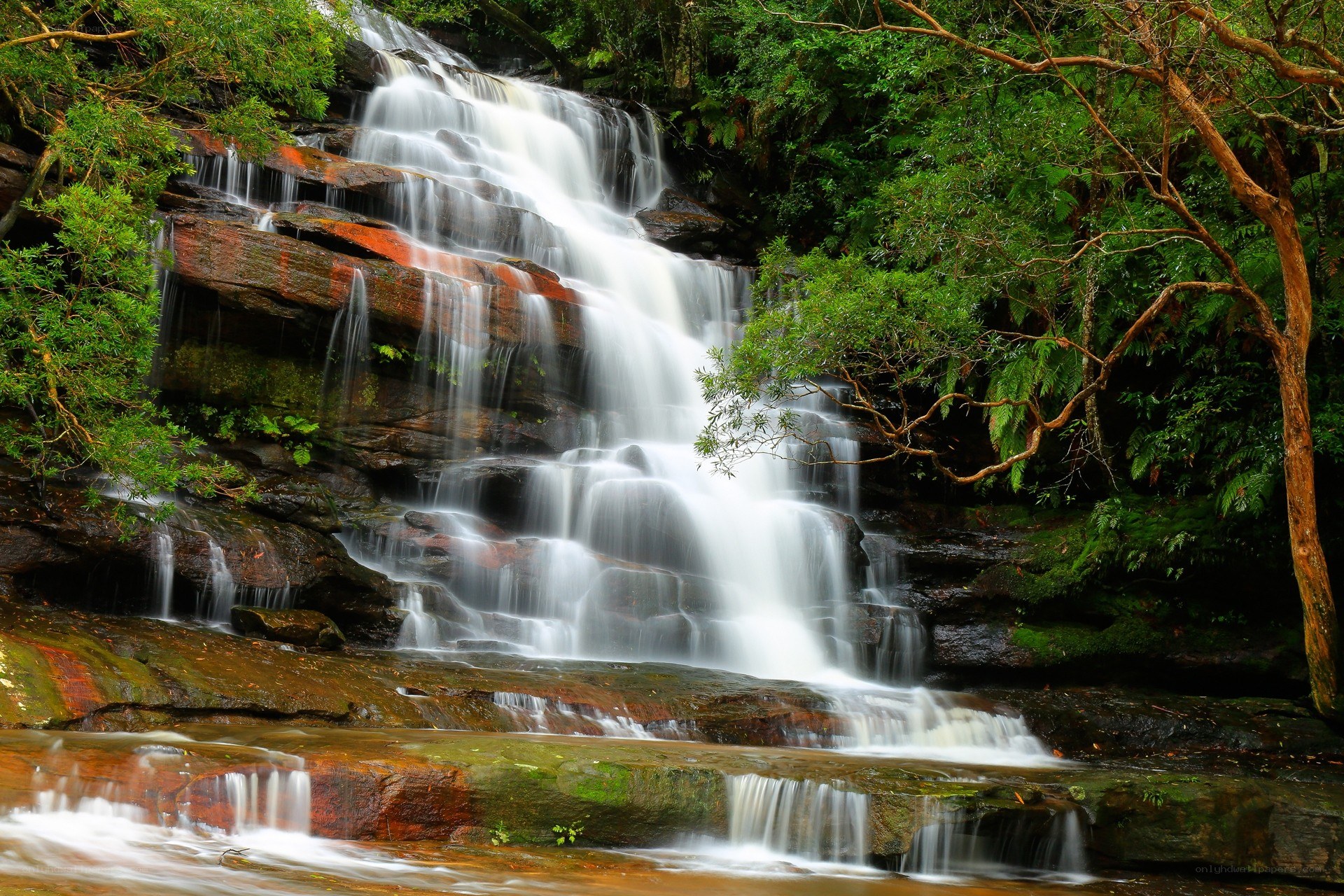 Waterfall in lush forest