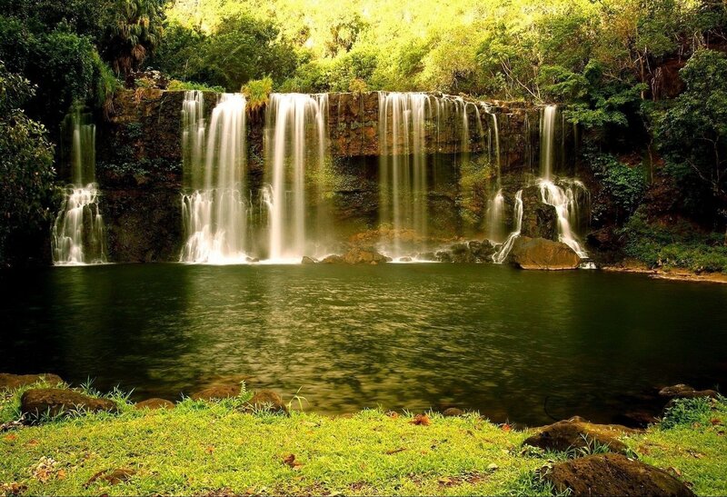 Waterfall in lush forest