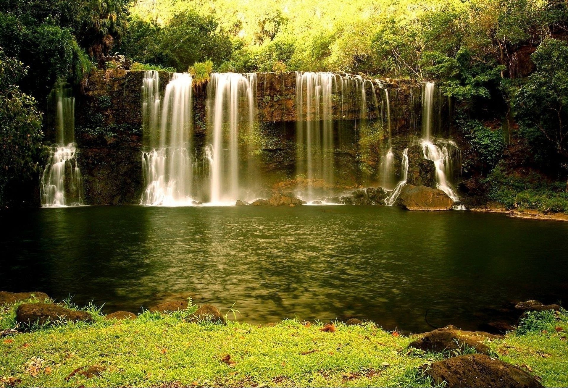 Waterfall in lush forest